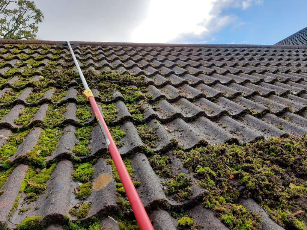 Wall Coating and Protection - Look New Cleaning Service